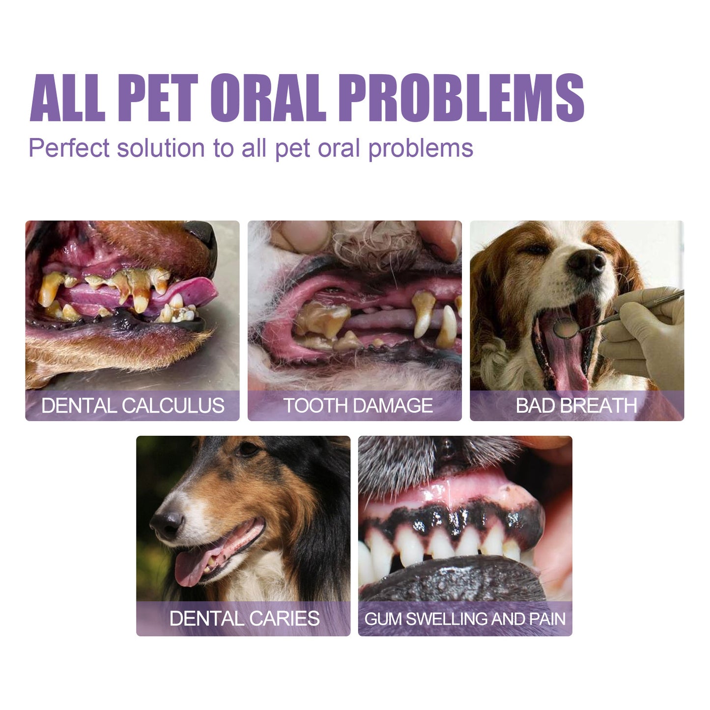 Fresh Breath Oral Care Gel Pen for Dogs & Cats