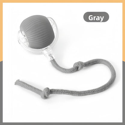 Rechargeable Smart Interactive Pet Ball ? Automatic Bouncing & Teaser Rope Toy for Dogs & Cats