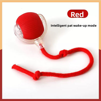 Rechargeable Smart Interactive Pet Ball ? Automatic Bouncing & Teaser Rope Toy for Dogs & Cats