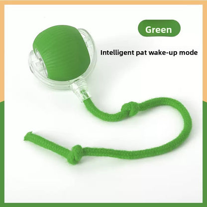 Rechargeable Smart Interactive Pet Ball ? Automatic Bouncing & Teaser Rope Toy for Dogs & Cats