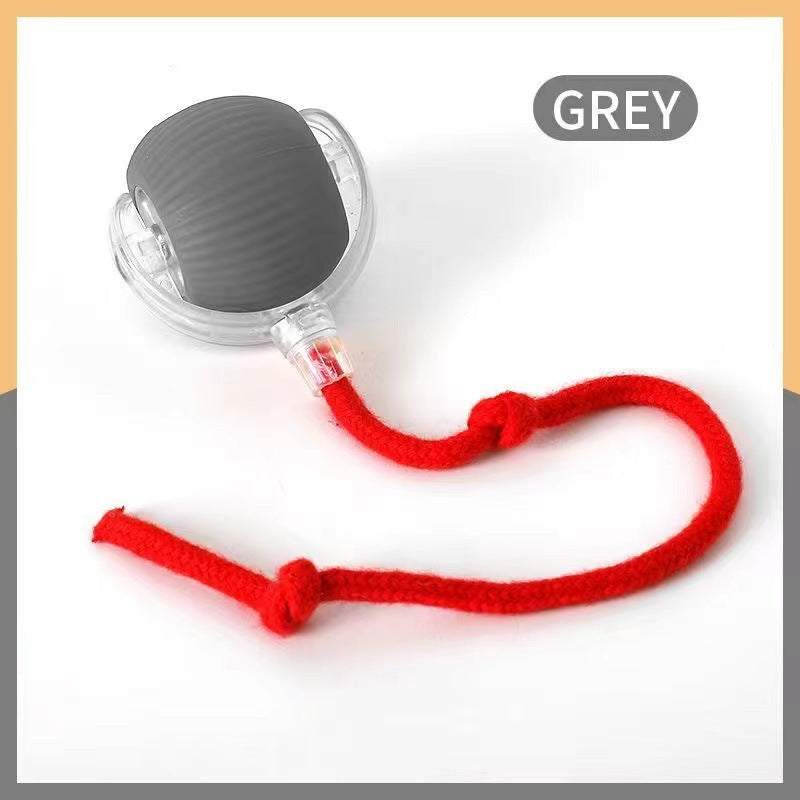 Rechargeable Smart Interactive Pet Ball ? Automatic Bouncing & Teaser Rope Toy for Dogs & Cats