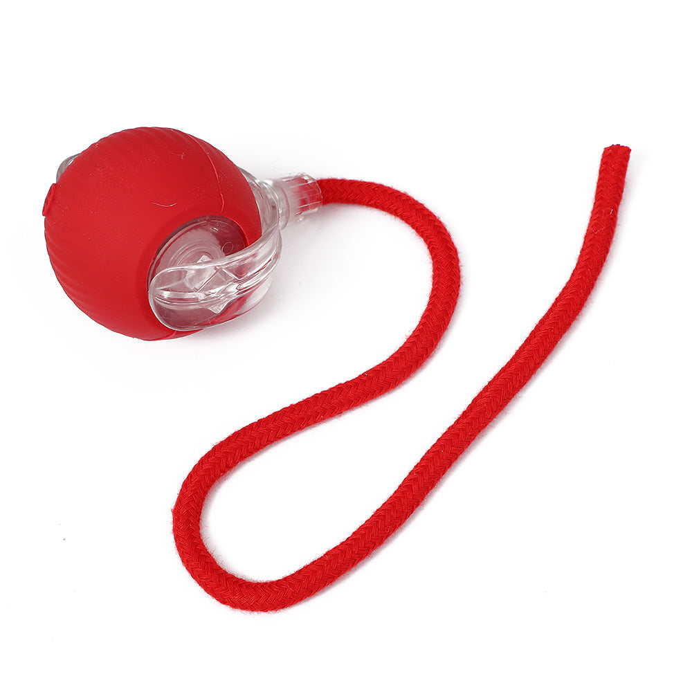 Rechargeable Smart Interactive Pet Ball ? Automatic Bouncing & Teaser Rope Toy for Dogs & Cats