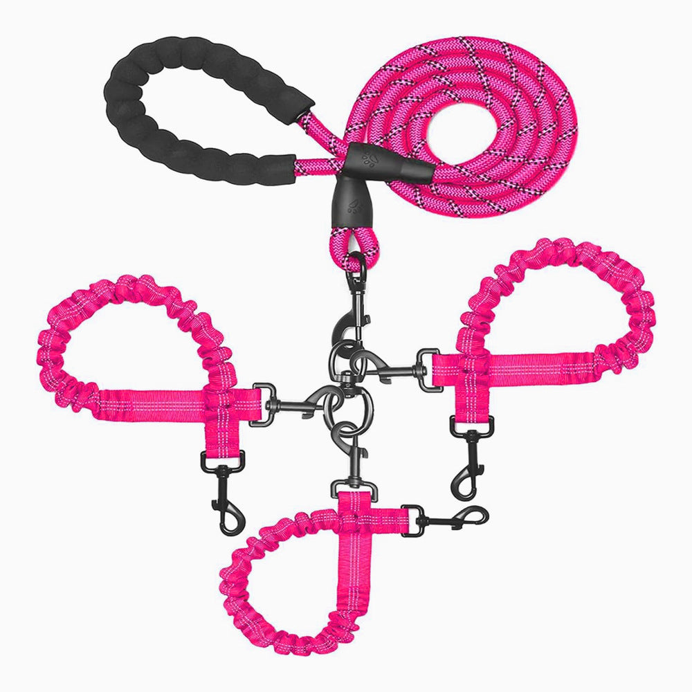 Triple Bungee Dog Leash with Reflective Shock-Absorbing Design