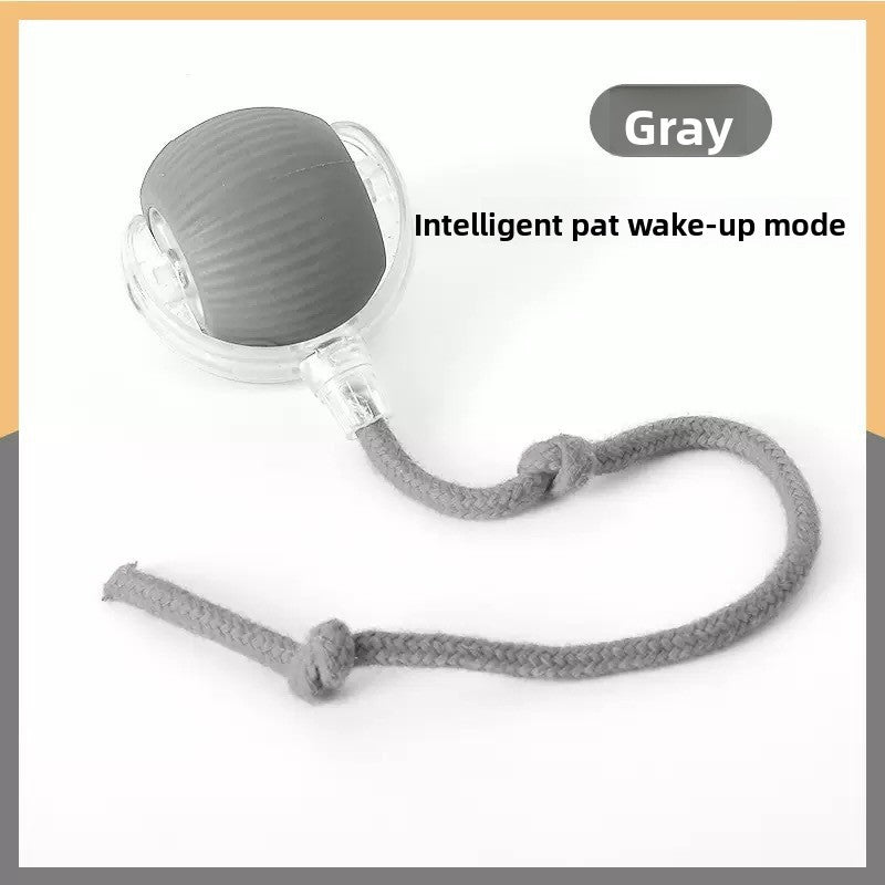 Rechargeable Smart Interactive Pet Ball ? Automatic Bouncing & Teaser Rope Toy for Dogs & Cats