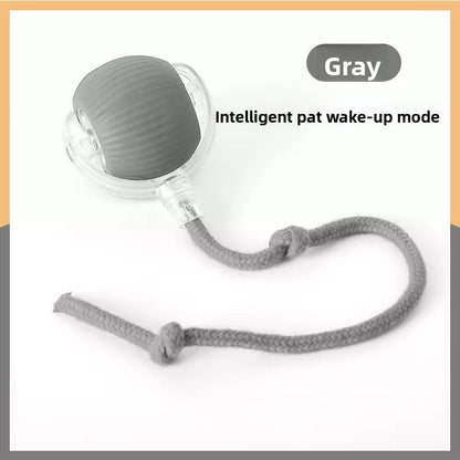 Rechargeable Smart Interactive Pet Ball ? Automatic Bouncing & Teaser Rope Toy for Dogs & Cats