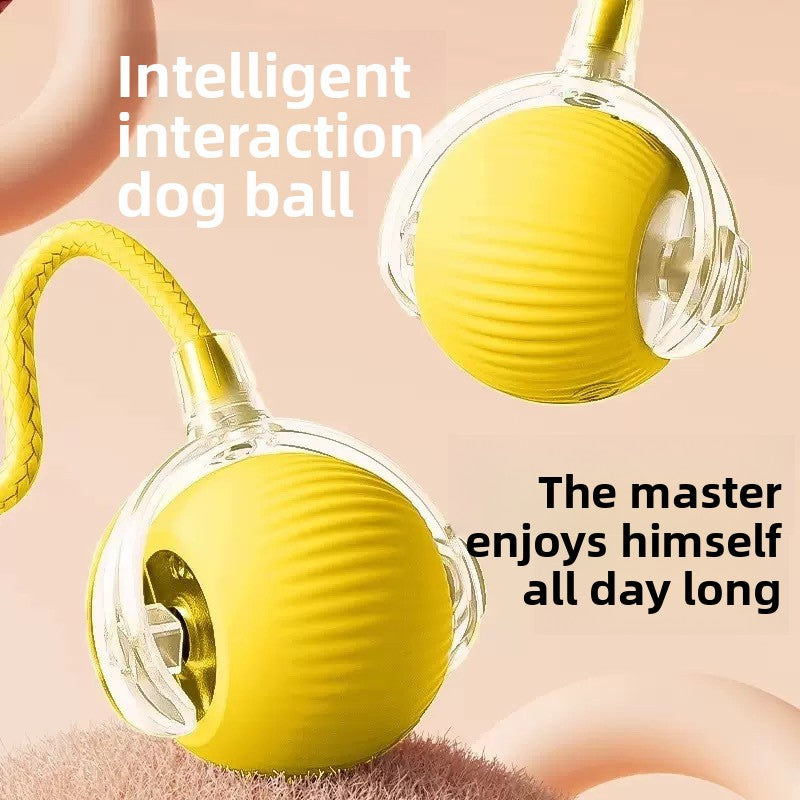 Rechargeable Smart Interactive Pet Ball ? Automatic Bouncing & Teaser Rope Toy for Dogs & Cats
